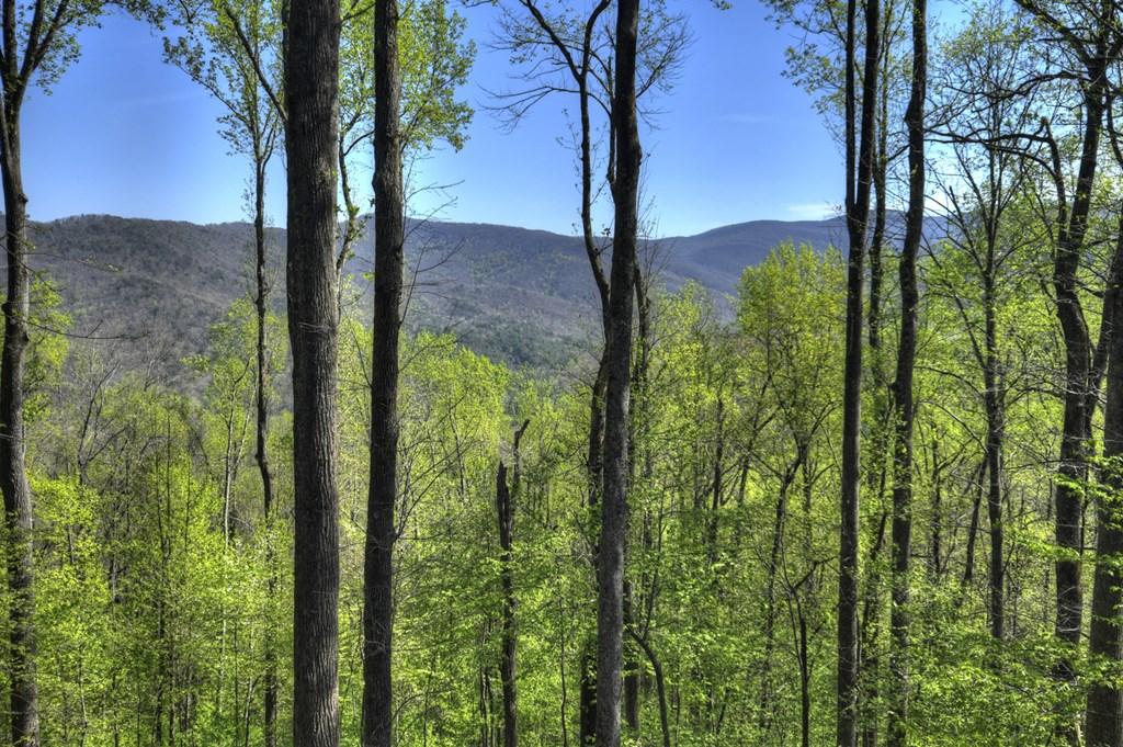 Image 3: Year-round Mountain Views