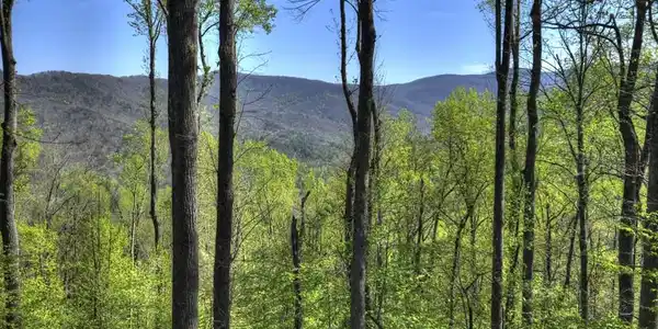 Image 3: Year-round Mountain Views