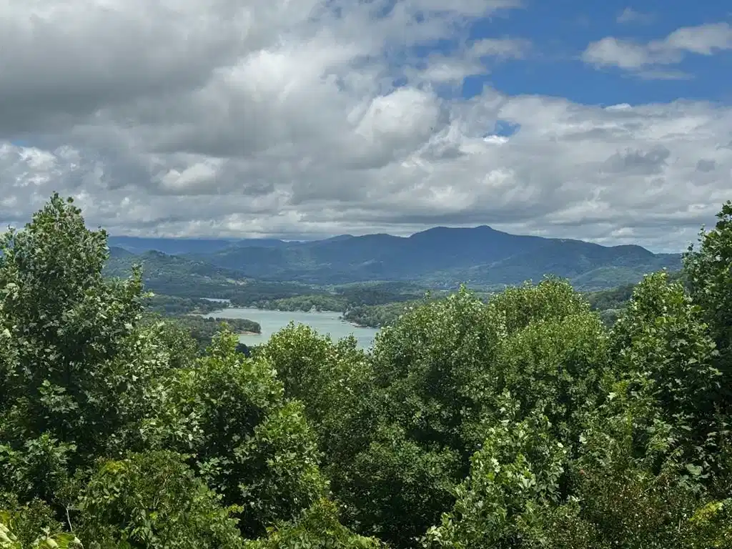 Image 1: Main View