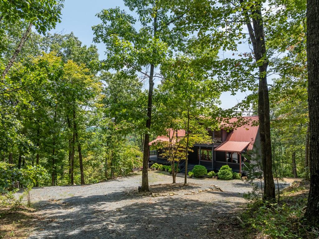 Image 4: Circle driveway