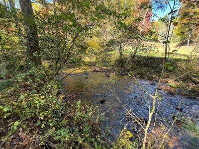 210 Big Creek Trail