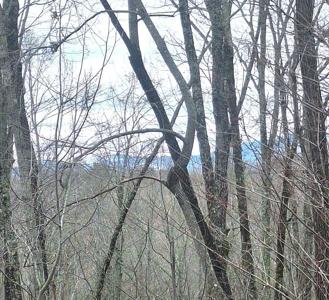 Lot 158 Trailwood Dr-Lt 158