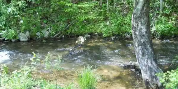 25 Tusquittee Crossing