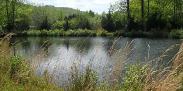 Image 2: Additional View