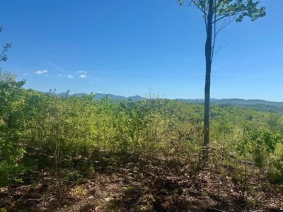 Wayah Ridge