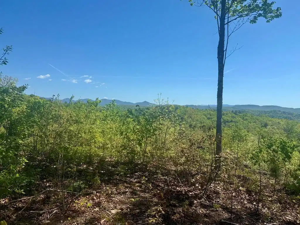 Image 1: Main View