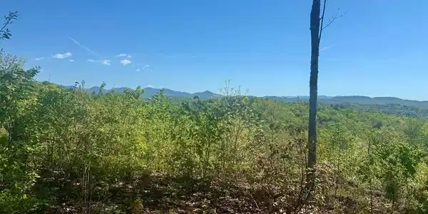 Wayah Ridge