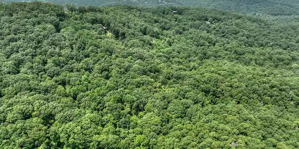 7.89 AC Laurel Springs Road