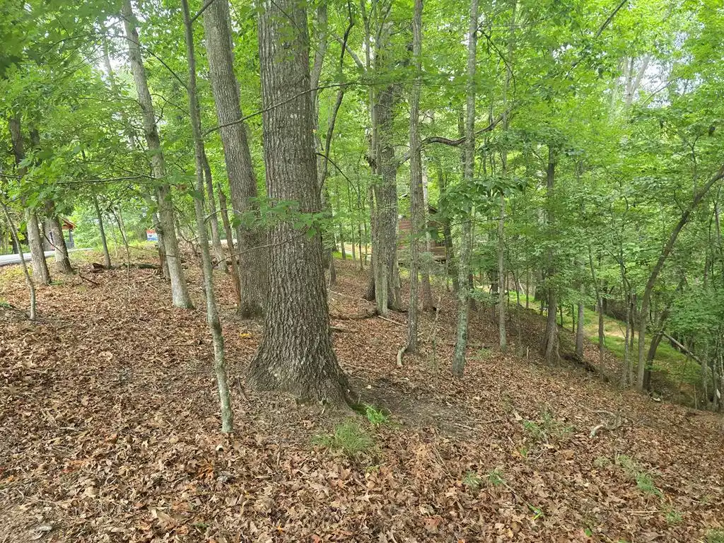 Image 1: Main View