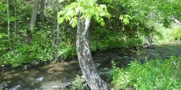 Image 3: Additional View