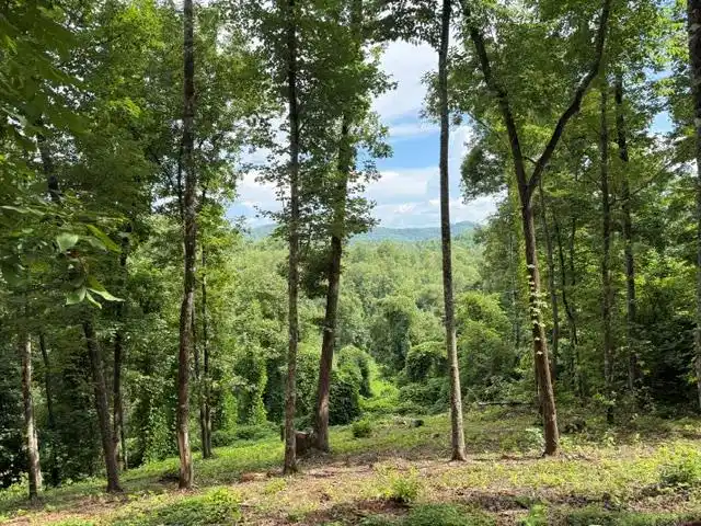 Image 1: Main View
