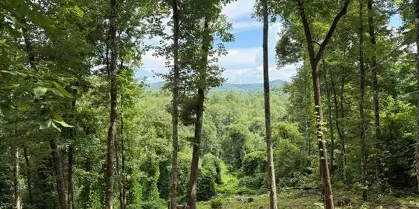 Lot 25 Bryson Creek