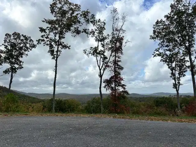 Image 1: Main View