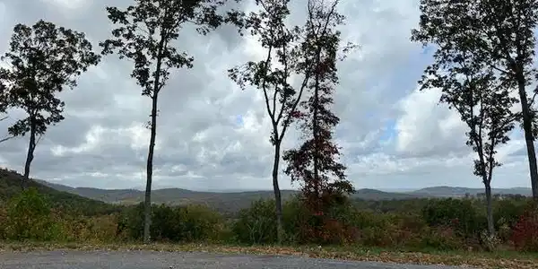 Lot 173 Shagbark Court