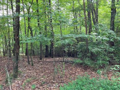 Lot 41 Floris Mountain Road