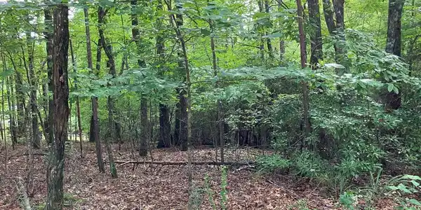 Lot 41 Floris Mountain Road