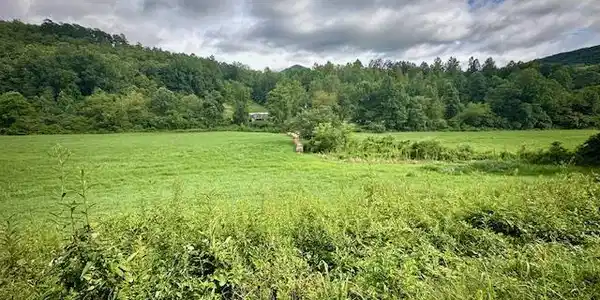 Tract 1A Thumping Creek Road