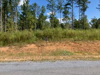 LT 129 Vista Creek Drive