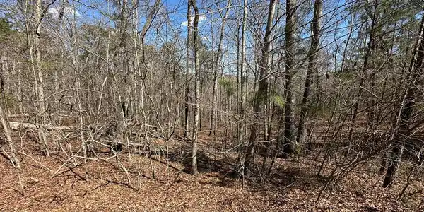 Lot 33 Harris Creek Drive