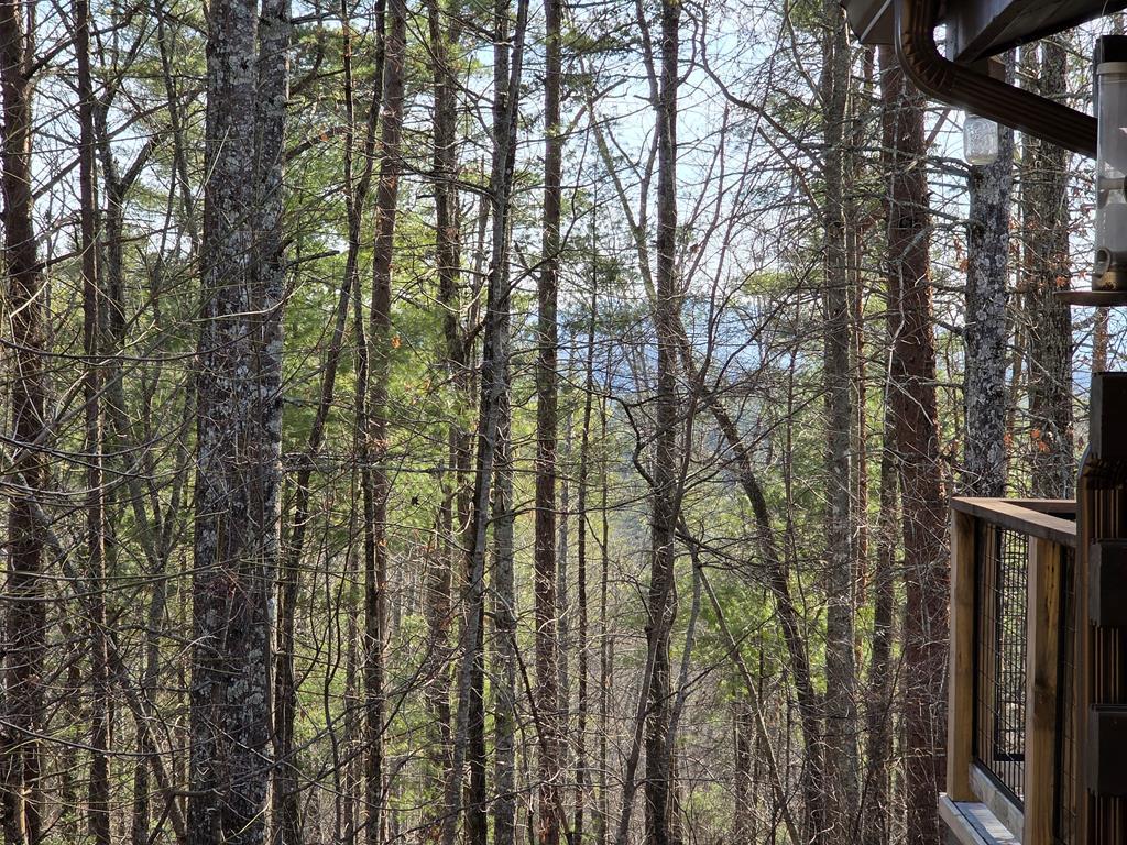 Image 4: Long range -You own the trees