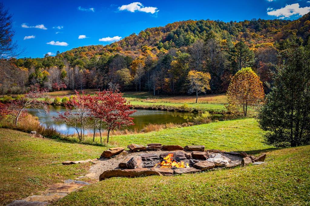 Image 3: Roast marshmallows with the kids