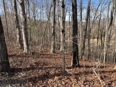 Lot 77A Licklog Ridge