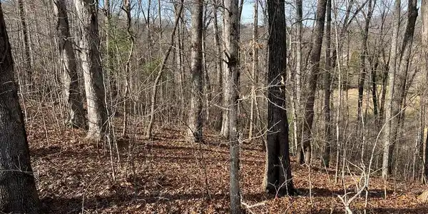 Lot 77A Licklog Ridge