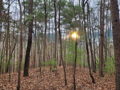 Lot 1665 Hunter Drive