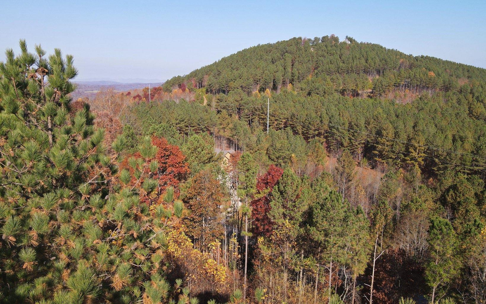 Image 2: Additional View