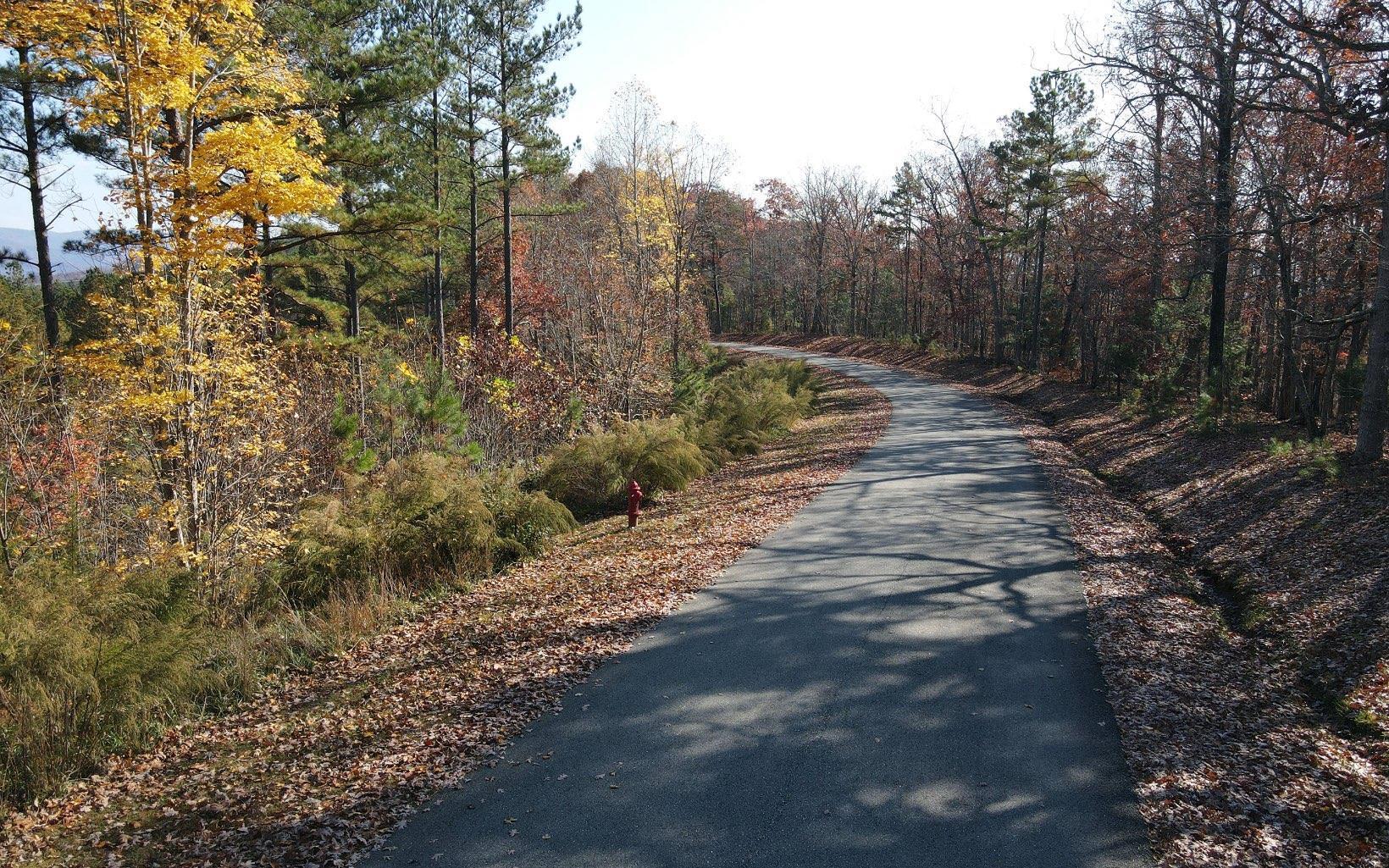Image 3: Additional View