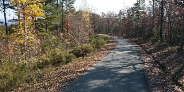 Image 3: Additional View