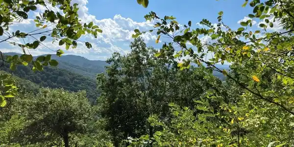 Lot 10 Brasstown Heights