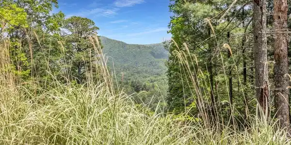 376 Eagles Rest