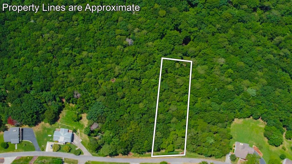 Image 4: All lot lines are approximate.