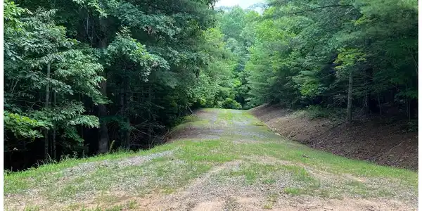 Maple Grove Road