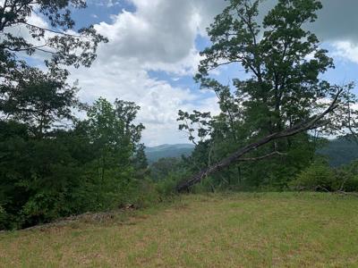 44 & 45 Silo View