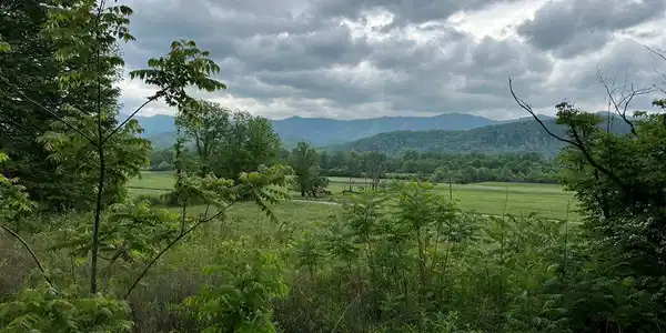 6387 Airport Road