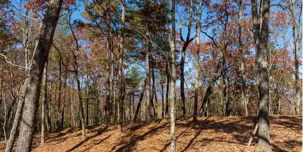 Lot 39 Preserve Trail