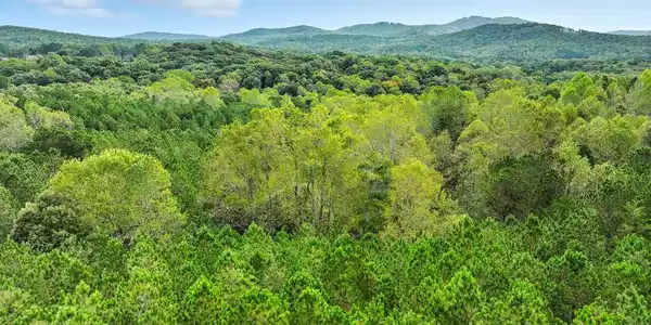 Old Pleasant Valley