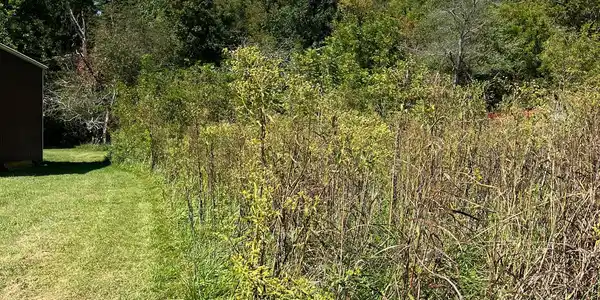 Image 3: Additional View