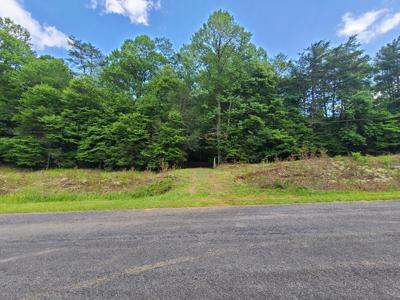 Big Creek Road