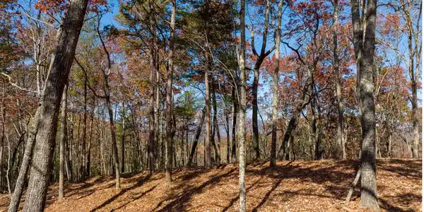 Lot 41 Preserve Trail