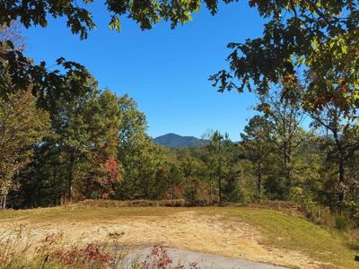 Lot 1 Brasstown Trails
