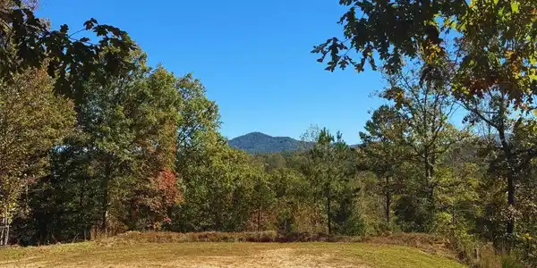 Lot 1 Brasstown Trails