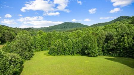 225 Cohutta Ranch Road