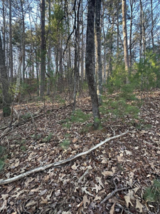 3.49 AC River Bend Road