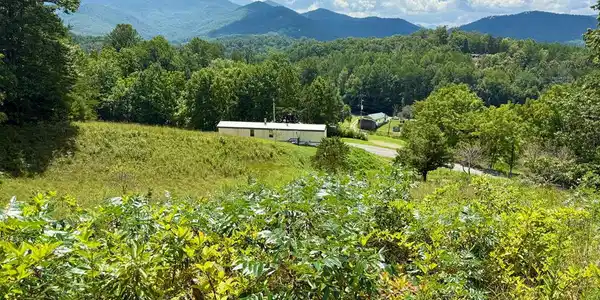 1237 Jackie Cove Road