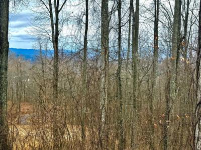 Lot 7 Rocky Knob Drive