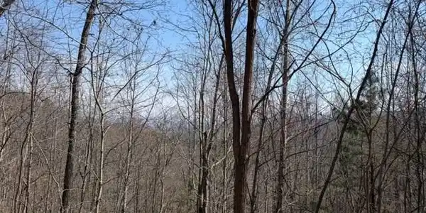 Lot 16 Laurel Mountain