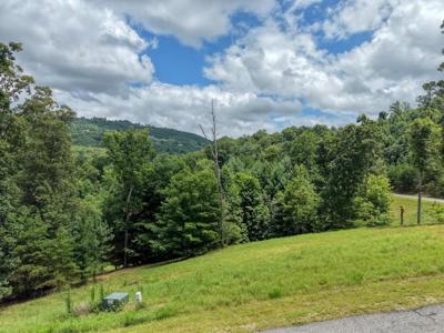 Lot 118 Riverside Lk Nottely